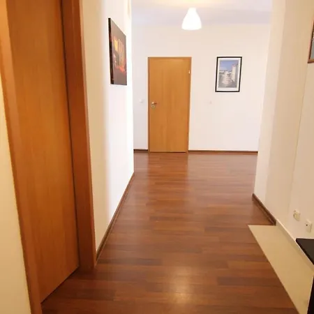 - Platan 슈비노우이스쳬