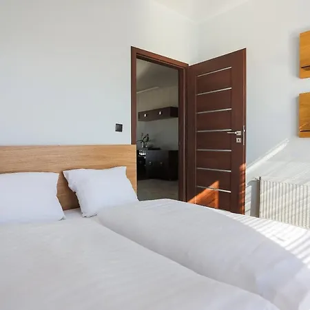 - Platan * シフィノウイシチェ