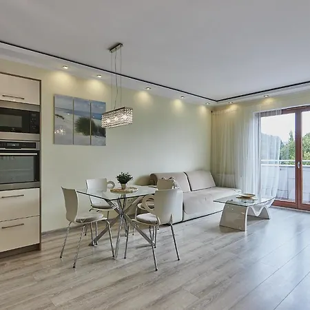 - Platan 슈비노우이스쳬