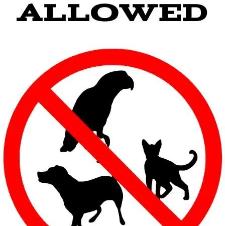 - Platan アパート シフィノウイシチェ