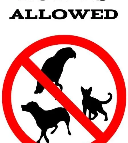 - Platan Apartment Swinemünde